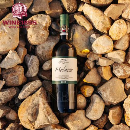 ColleMassari Melacce Vermentino