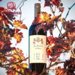 IL Pino Di Biserno