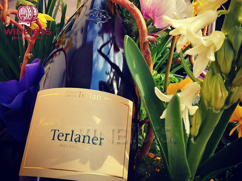 Cantina Terlano Cuvée Terlaner