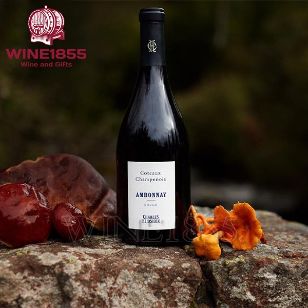 Charles Heidsieck Coteaux Champenois Red Ambonnay
