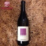 Sandrone Barbera D'Alba