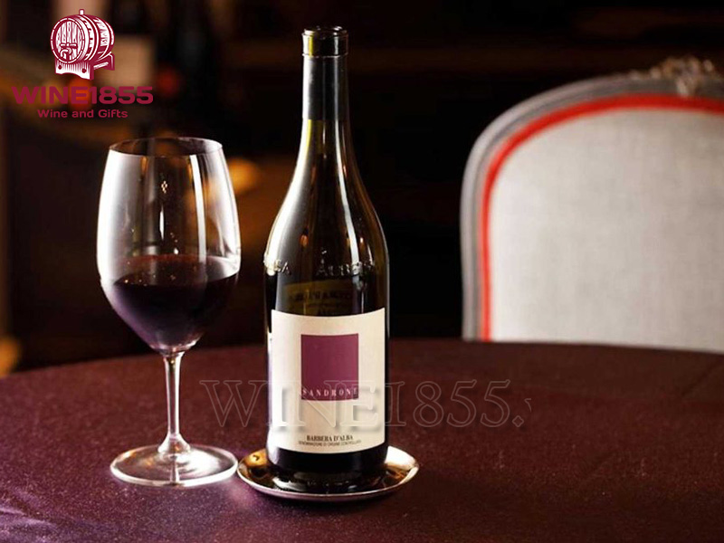 Sandrone Barbera D'Alba
