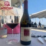 Sandrone Barolo Le Vigne