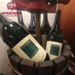 Sandrone Valmaggiore Nebbiolo D'Alba