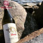 Vietti Roero Arneis